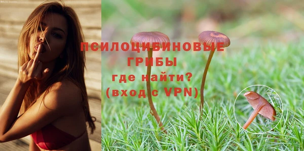 ALPHA PVP Алексеевка