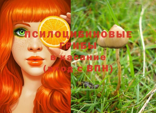 героин Алзамай
